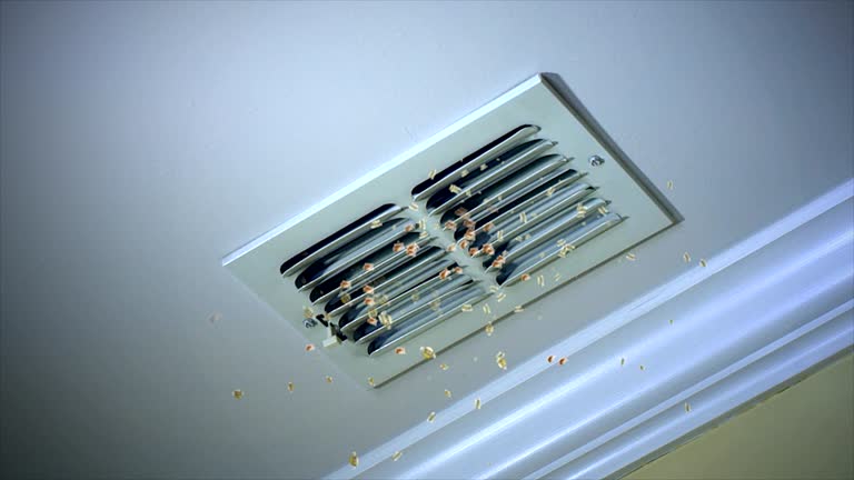 Best Dryer Vent Cleaning Services  in Robinson, IL